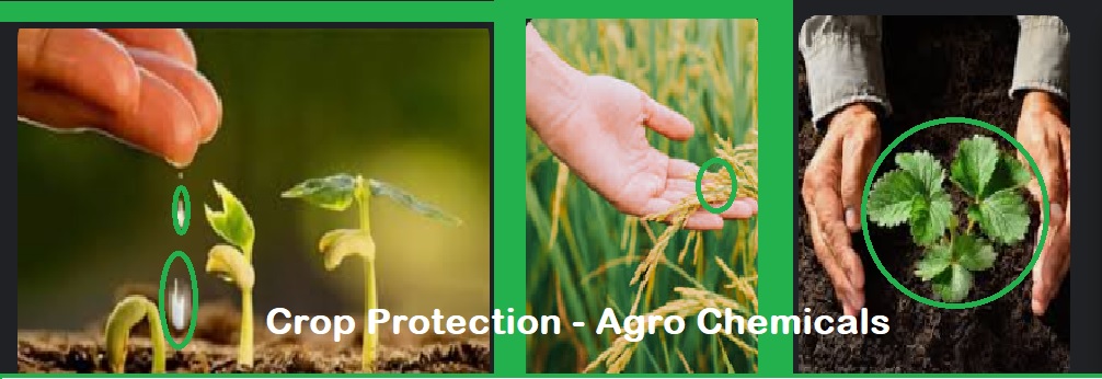 Top 10 Crop Protection Agro Chemicals Exim Code Exporting from India.