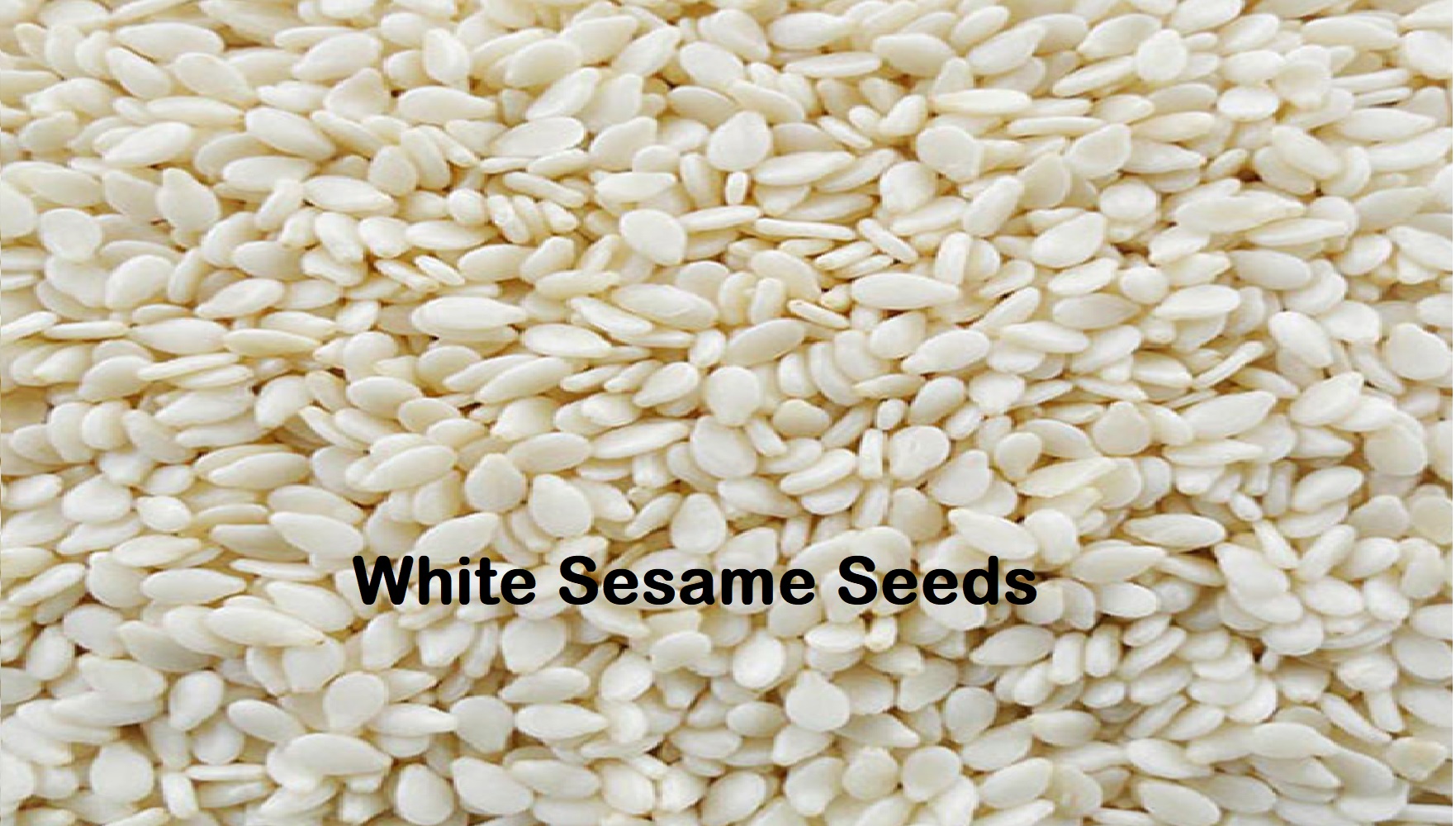 White Sesame Seeds Worldwide Largest Consuming Market