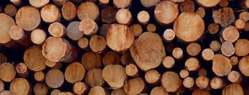 Worldwide Export-Import Demand on Wood and Wood Products and Topmost Suppliers and Buyers