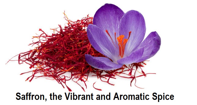 Saffron Exim Code: Exploring Future Market Opportunities and Top Exporters and Importers