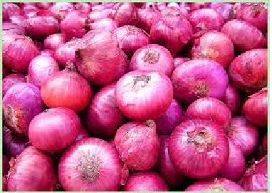 India imposes export duty of 40% on onions