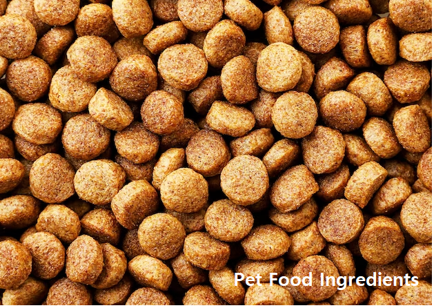 Exploring Export-Import Business Opportunities of Pet Food Ingredients